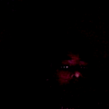 byrdn4