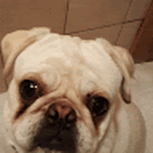 cabhead