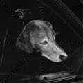 caelbauer02