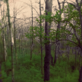 The Weight of Silence