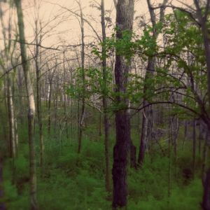 The Weight of Silence