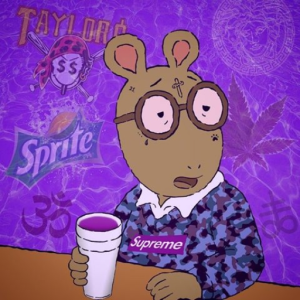 CamStayFlexin