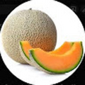CantaloupeVR