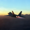 capSAR273