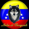Carlosvzla