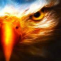 carraicorb_wcps_k12_md_us