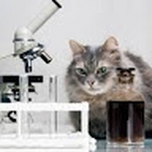 cat_maker
