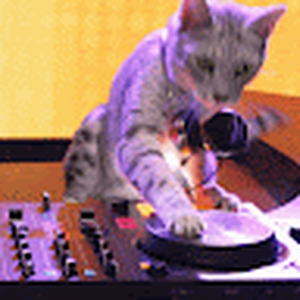catchat