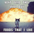 CatsRule20000
