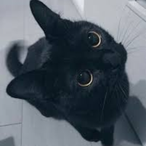 Ccat