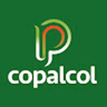 cccooo