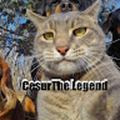cesurthelegend