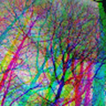 chainsaw_wounds