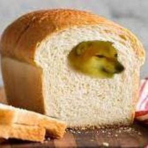 CheemsBread