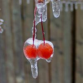 Cherry_Rum