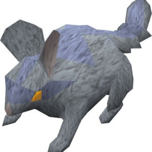 CHINCHOMPAtime