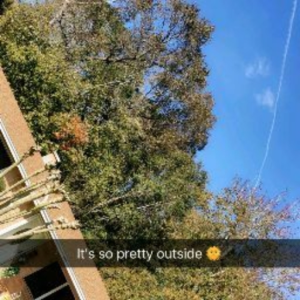 chris_cherry