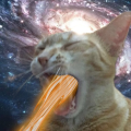 ChronicKat