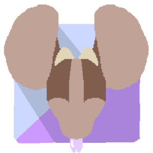CinnoNugget