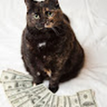 cinquante_centimes_svp