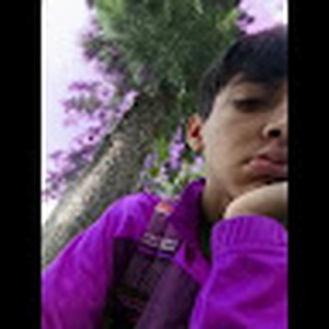 codeinassj