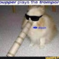 colton_s_7729_menifeeusd_org