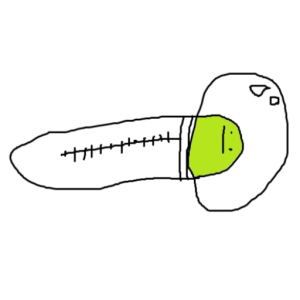 complexed_ape