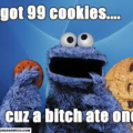 cookie_monster-A9N90Q