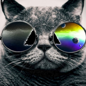 Coolonge