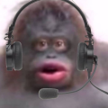 Sly Corm