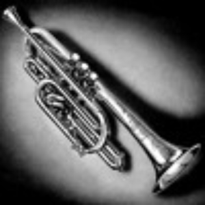 Cornet