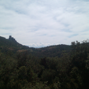 Xaioomr