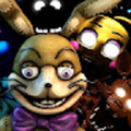 cpvp08_gmail_com