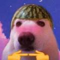 crashoutcasanova