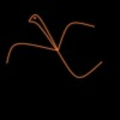 crazy_yer