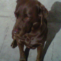 cristian_par