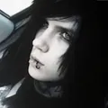 crucivyxen