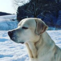 cyrill_weilenmann