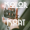 KolorKoat