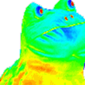 D_a_v_i_d