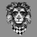 daans_ds