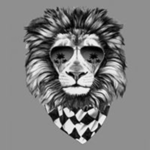 daans_ds