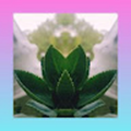 dabria_heron_gmail_com