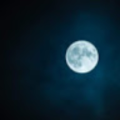 daga_s2008s_gmail_com