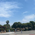 damexatras