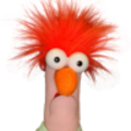 danialcollyer_gmail_com