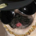 dankthiccboi
