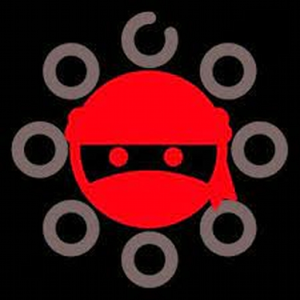 Dannyredninja