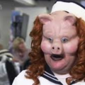 pig sailor mon