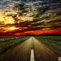 Darina984
